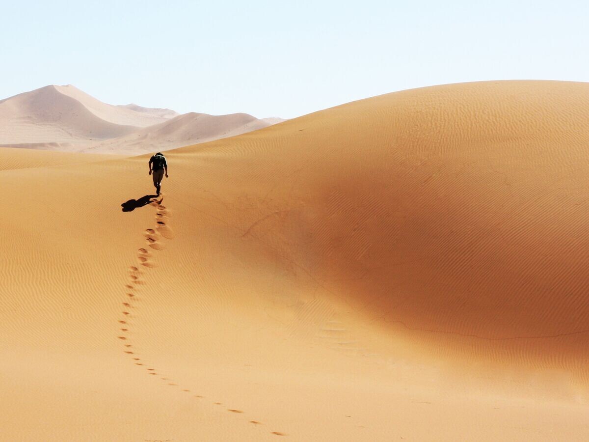 Человек в пустыне© Fotolia / Adam Gregor
