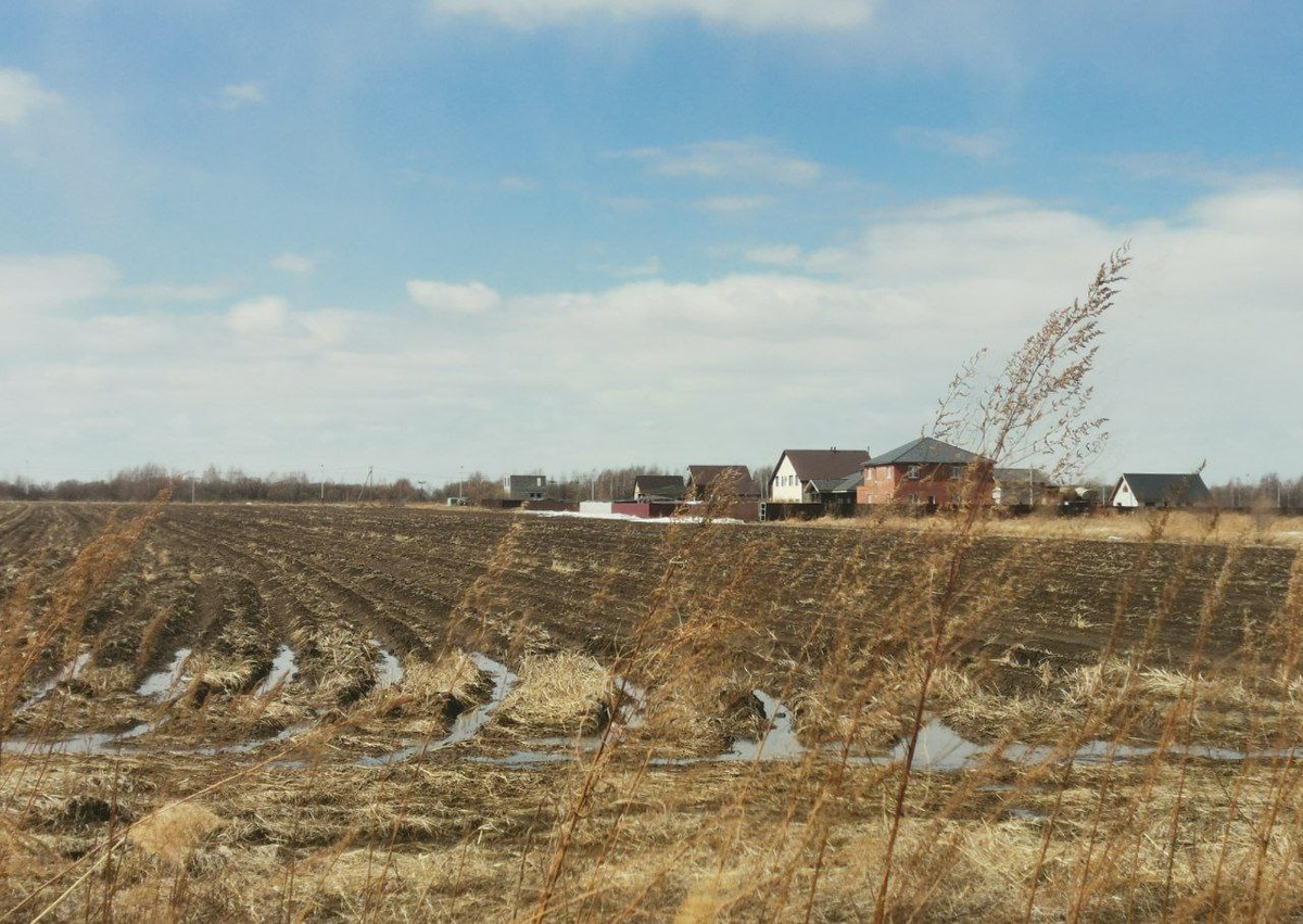 Село Тополево - пригород Хабаровска. Здесь никаких гектаров не дают.