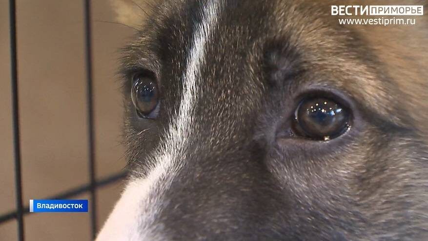    Источник фото: