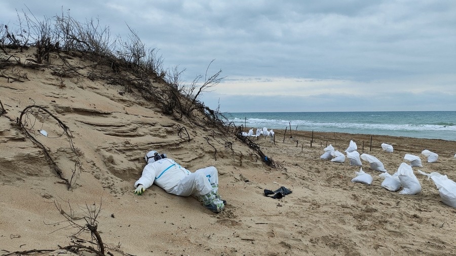 Волонтер на отдыхе