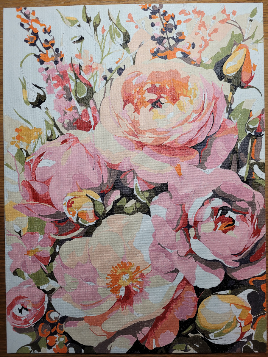 Области в картине заполнены по состоянию на 24.01.2025