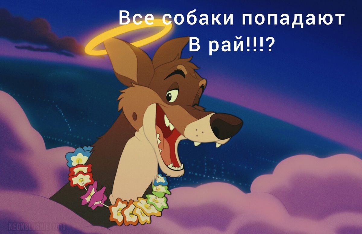 Все собаки попадают в рай!?