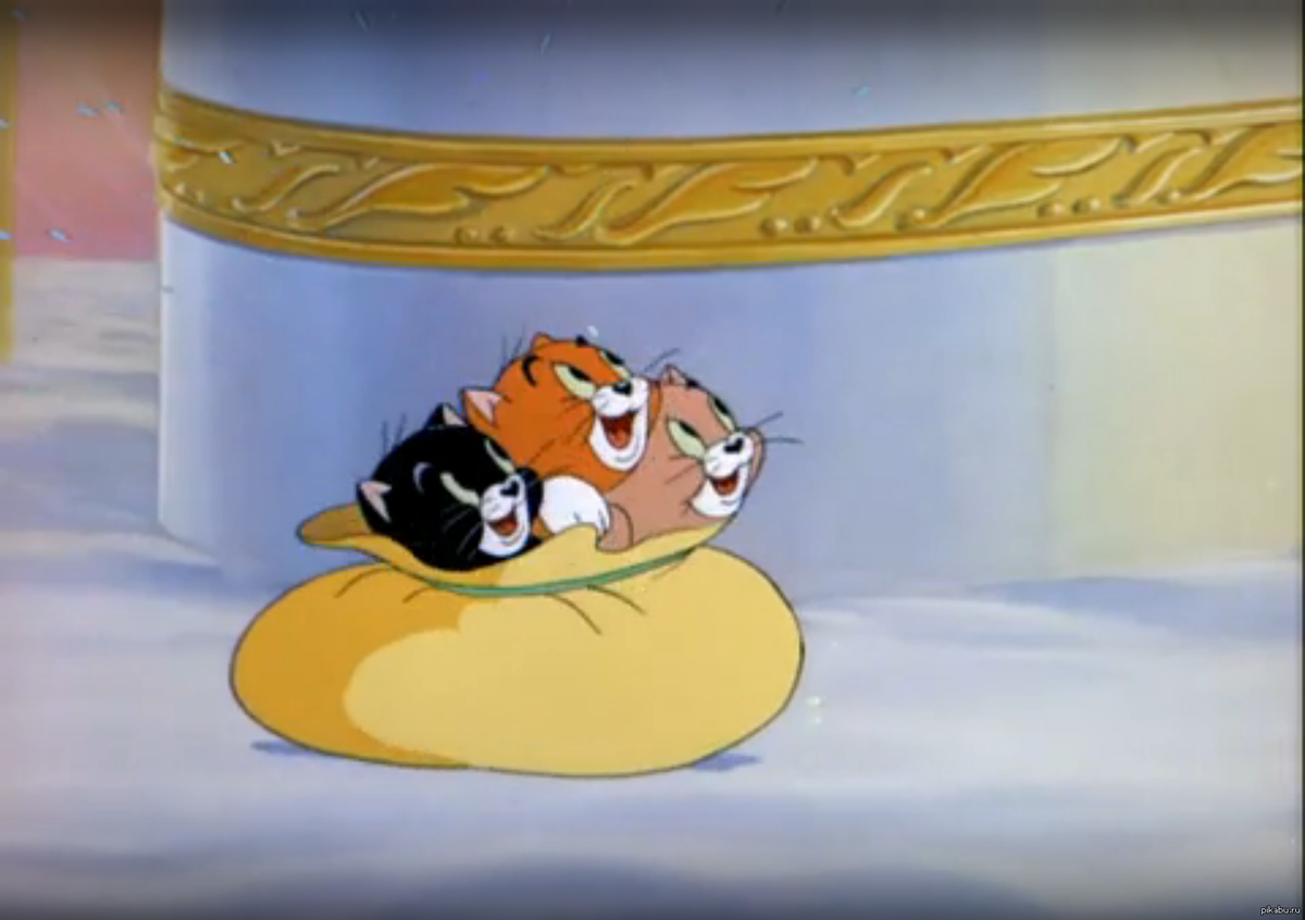 Котята в Раю!