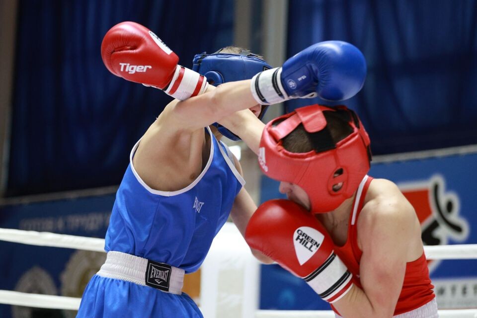    Кубок главы Барнаула по боксу. Источник: Олег Укладов