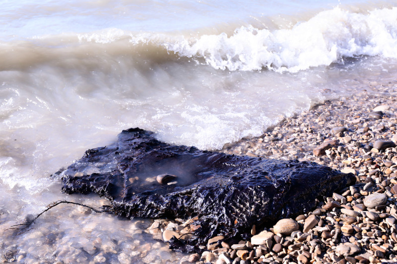    Фото: Roman Naumov/Globallookpress