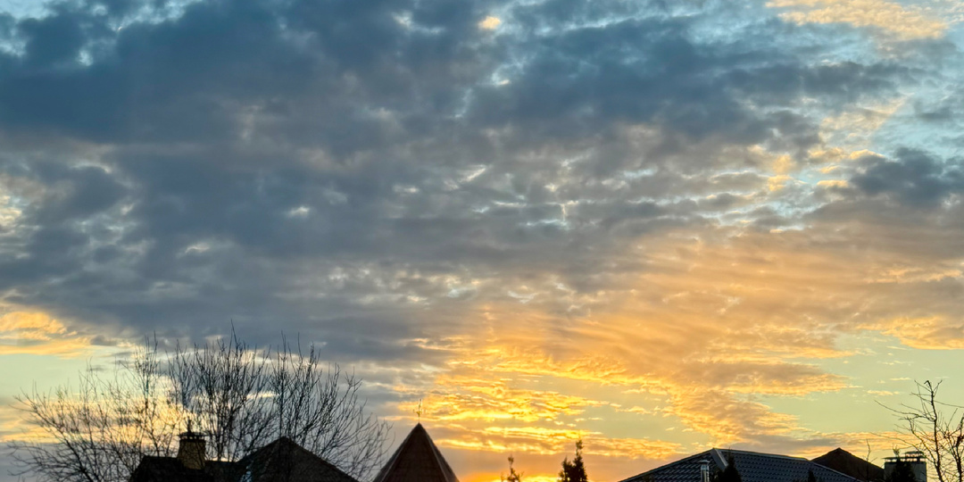 О бессоннице и новой жизни