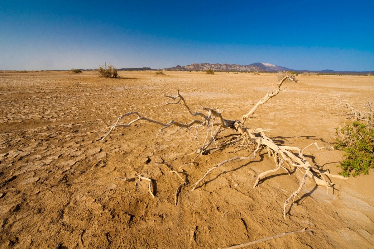     / Источник: © Heiko Beyer/imageBROKER.com/Global Look Press