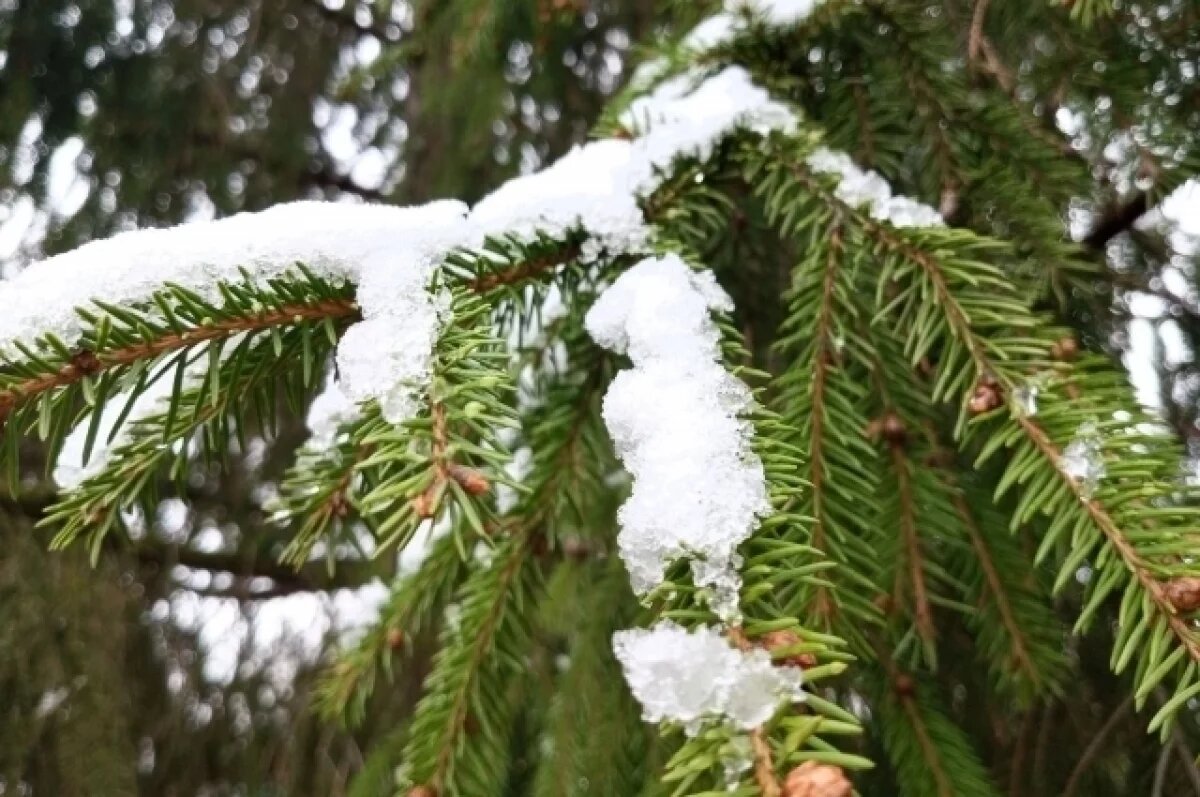    Потепление и снег ожидаются в Свердловской области