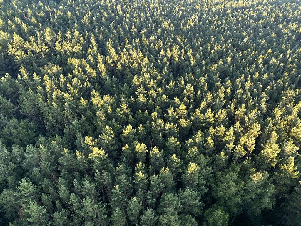    Фото: «В курсе.ру» Ульяна Бажанова
