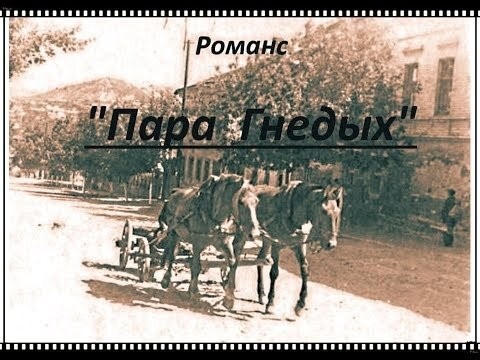 Пара гнедых.