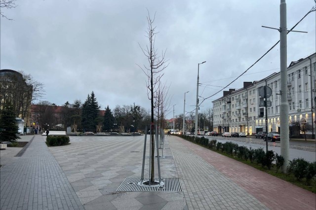   Фото из архива Калининград.Ru