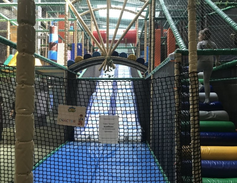    Фото: СУ СК по Новосибирской области