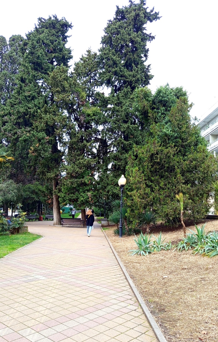 Шли по Курортному. Было пасмурно, но погода для прогулки замечательная.