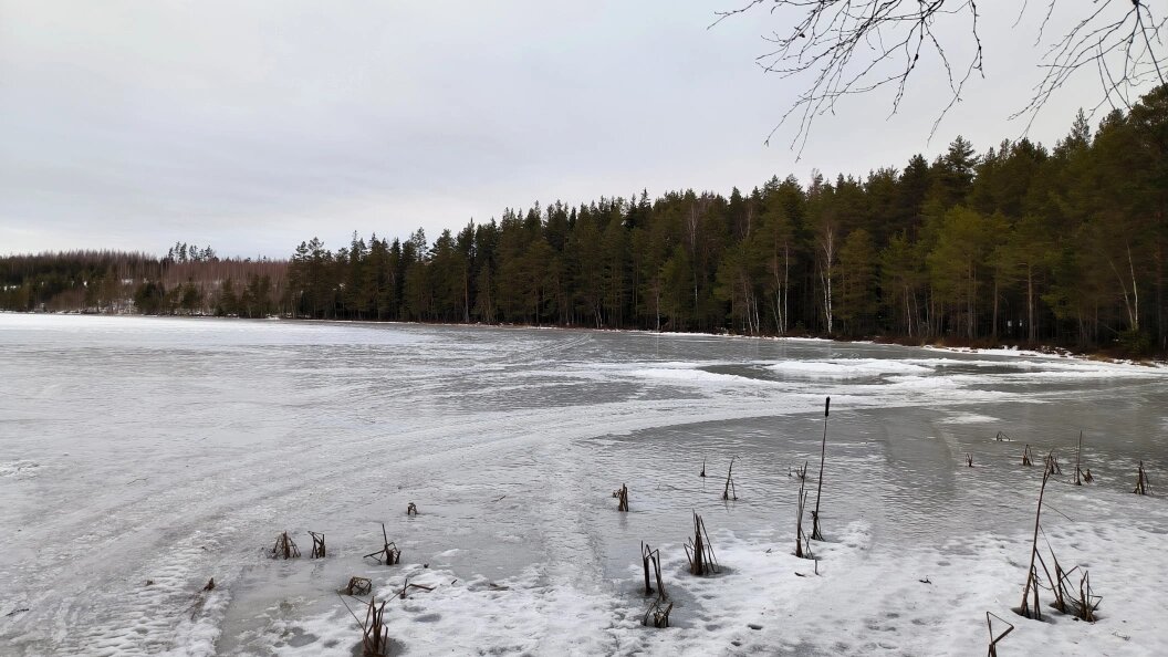    ФОТО: © MAKSIM KONSTANTINOV/GLOBAL LOOK PRESS