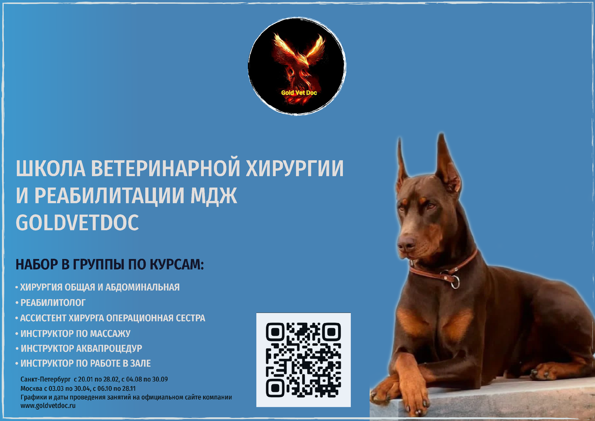 Открыт набор 2025 на курсы в Москве и Санкт-Петербурге. Информация по графику и условиях приема на официальном сайте компании www.goldvetdoc.ru