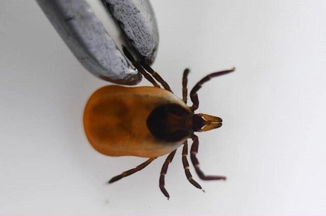    Фото: Управление Роспотребнадзора по Томской области