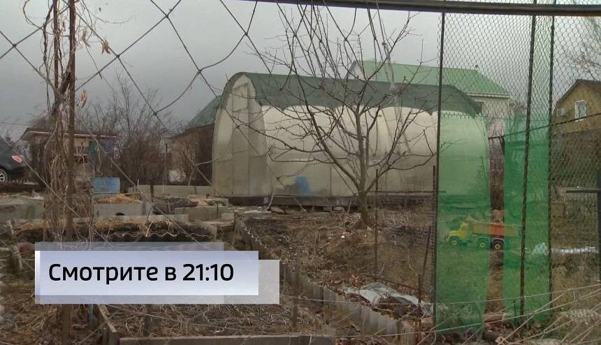    Источник фото: