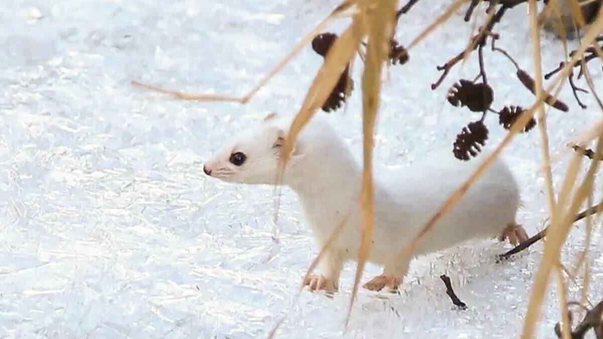    Фото: mos.ru / Официальный сайт мэра Москвы