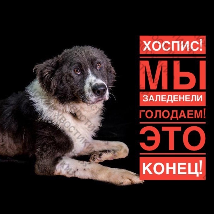 как смотреть в глаза тем, кто трясётся от голода и холода...?!