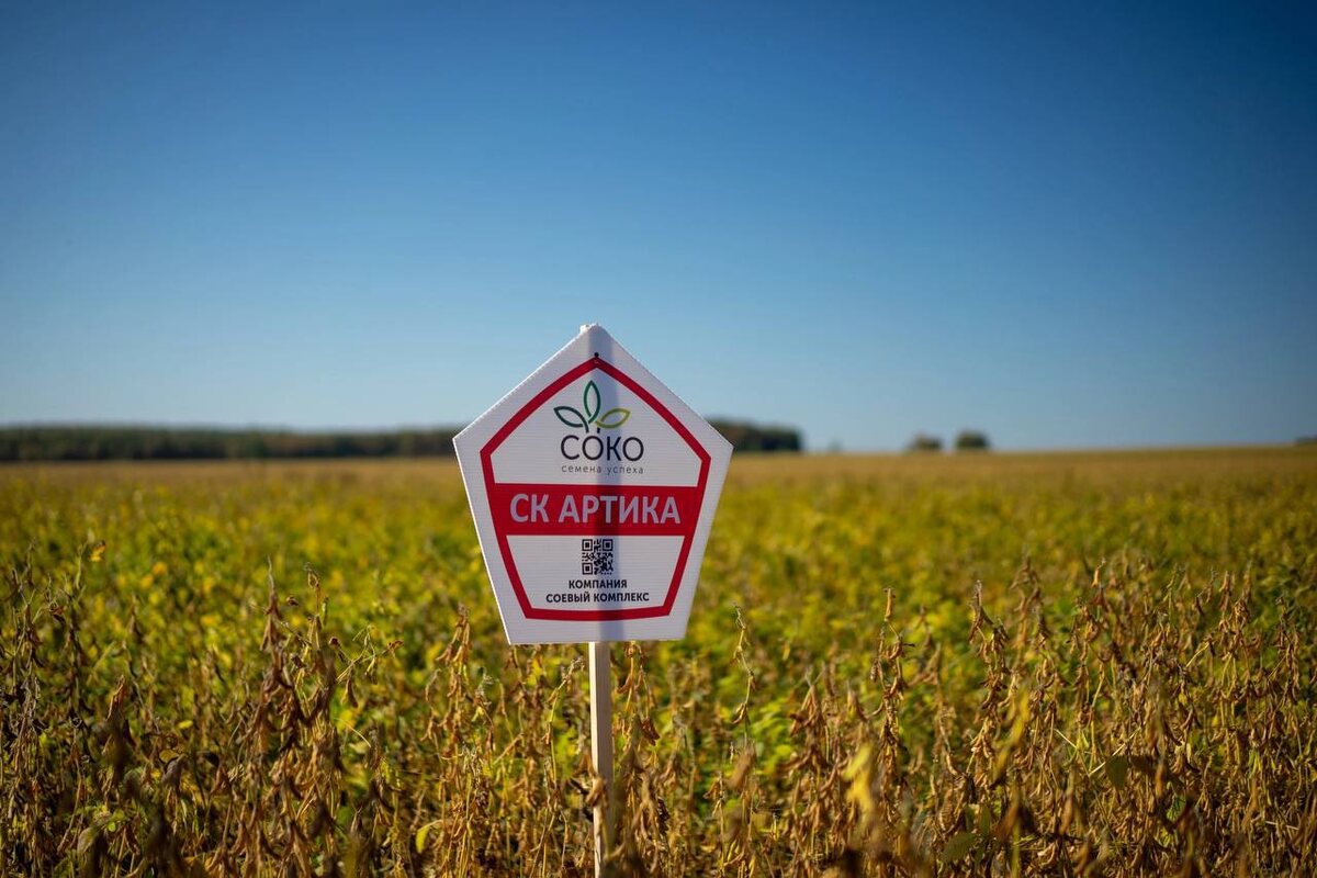Сорта селекции Компании «СОКО» адаптированы к природно-климатическим условиям разных регионов России. Для ЦЧР подходят ультраскороспелые, очень скороспелые и скороспелые сорта