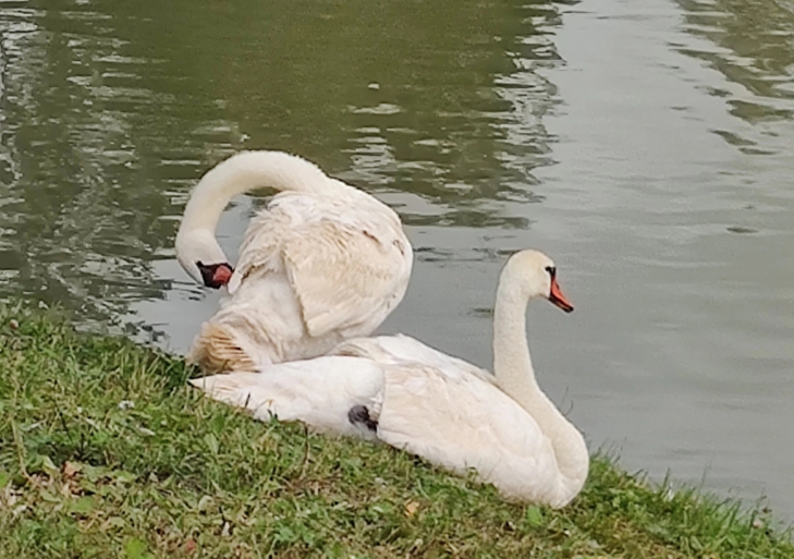    Фото из архива VN.ru