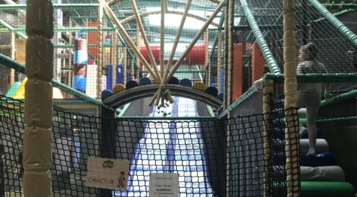    Фото пресс-службы СУ СК России по Новосибирской области