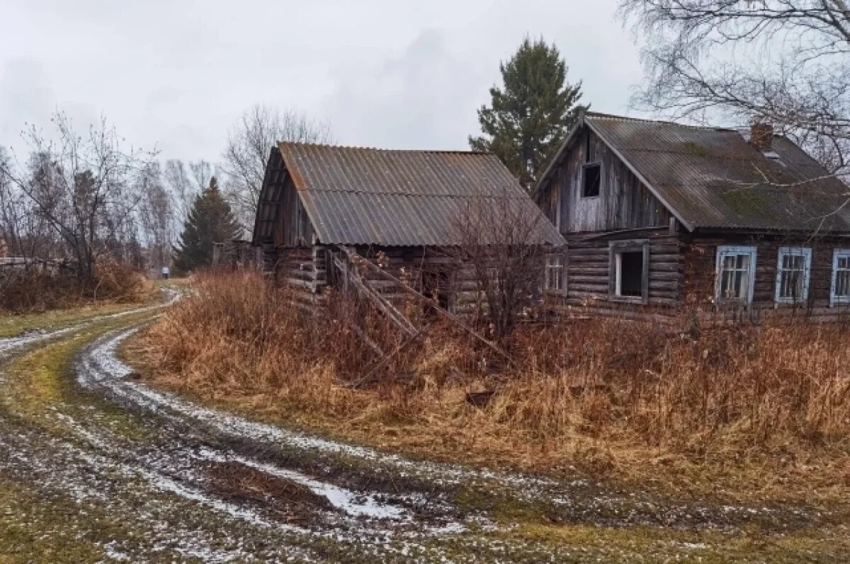    Окружены тайгой и «морем».