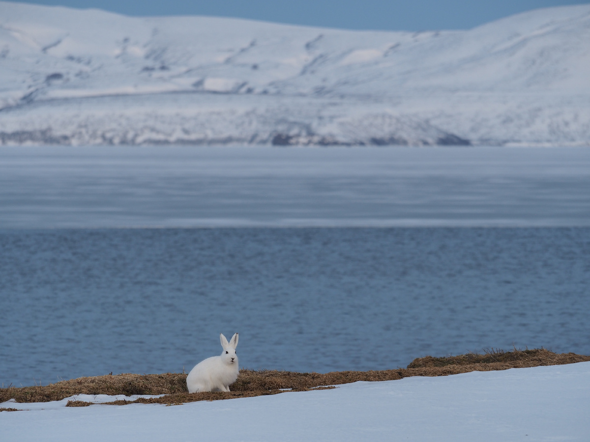 Листайте галерею, чтобы увидеть все фото! 