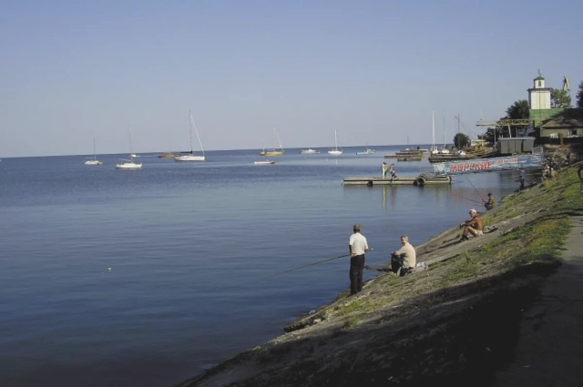    Учёные Дона предложили создать заповедники на берегах Таганрогского залива