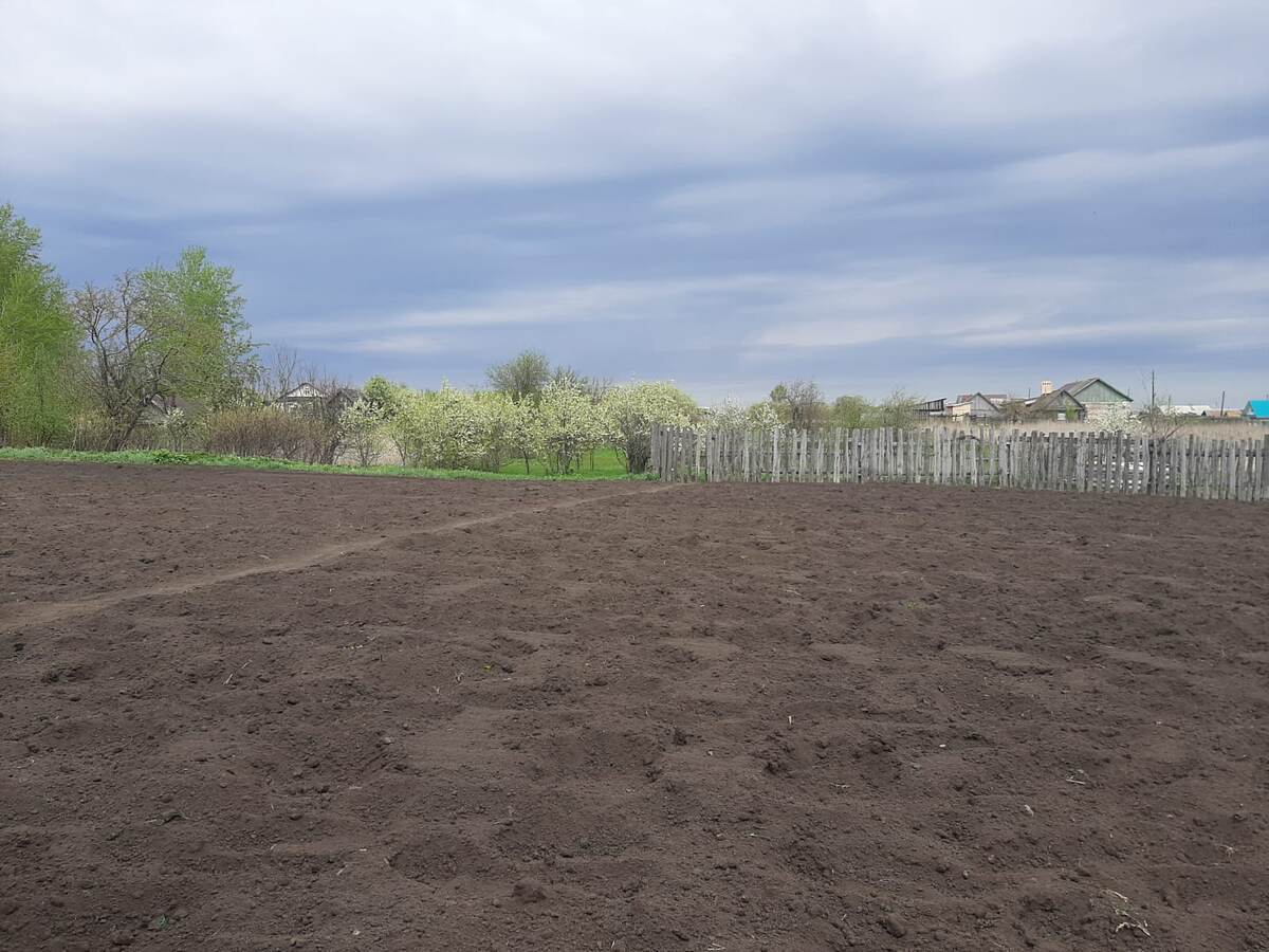 Общий вид участка