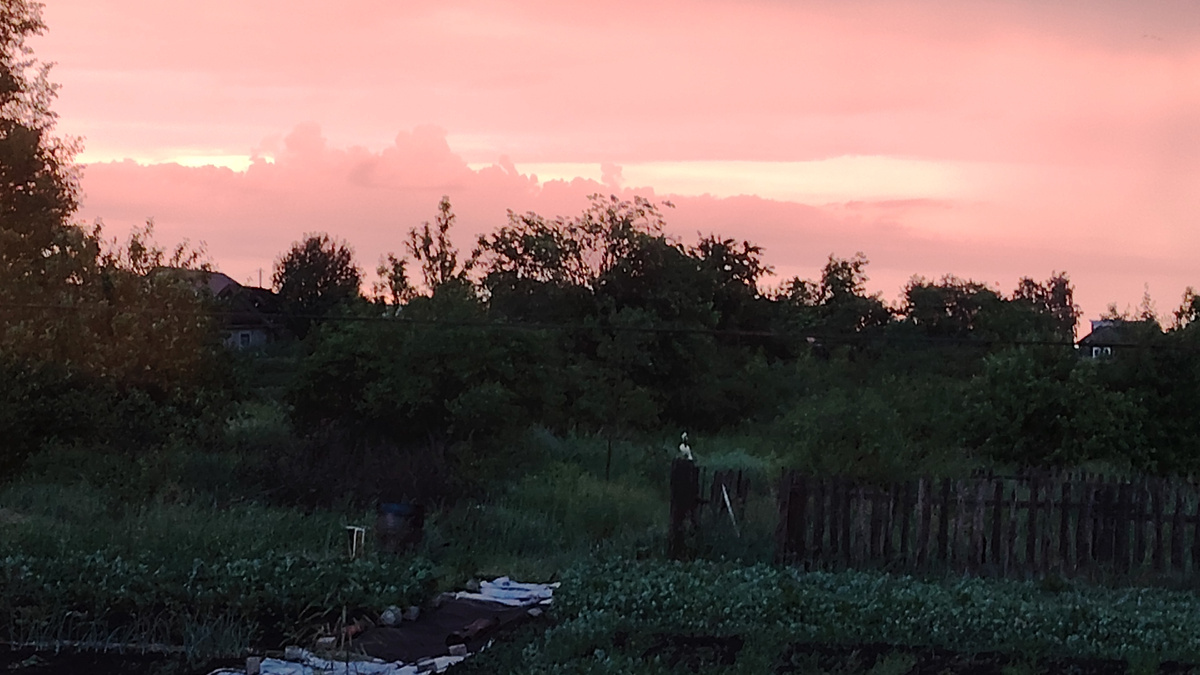 Здесь бегала с лейкой