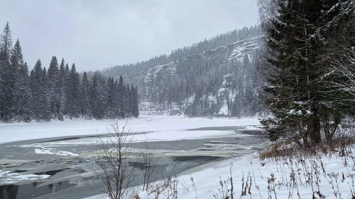     Источник: 1MI