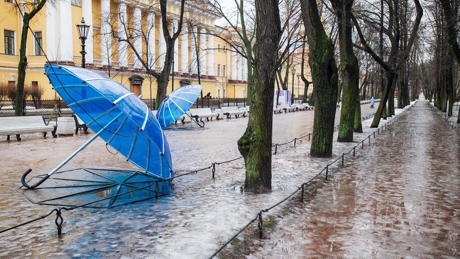    Оттепель в Петербурге. Автор фото: Ермохин Сергей