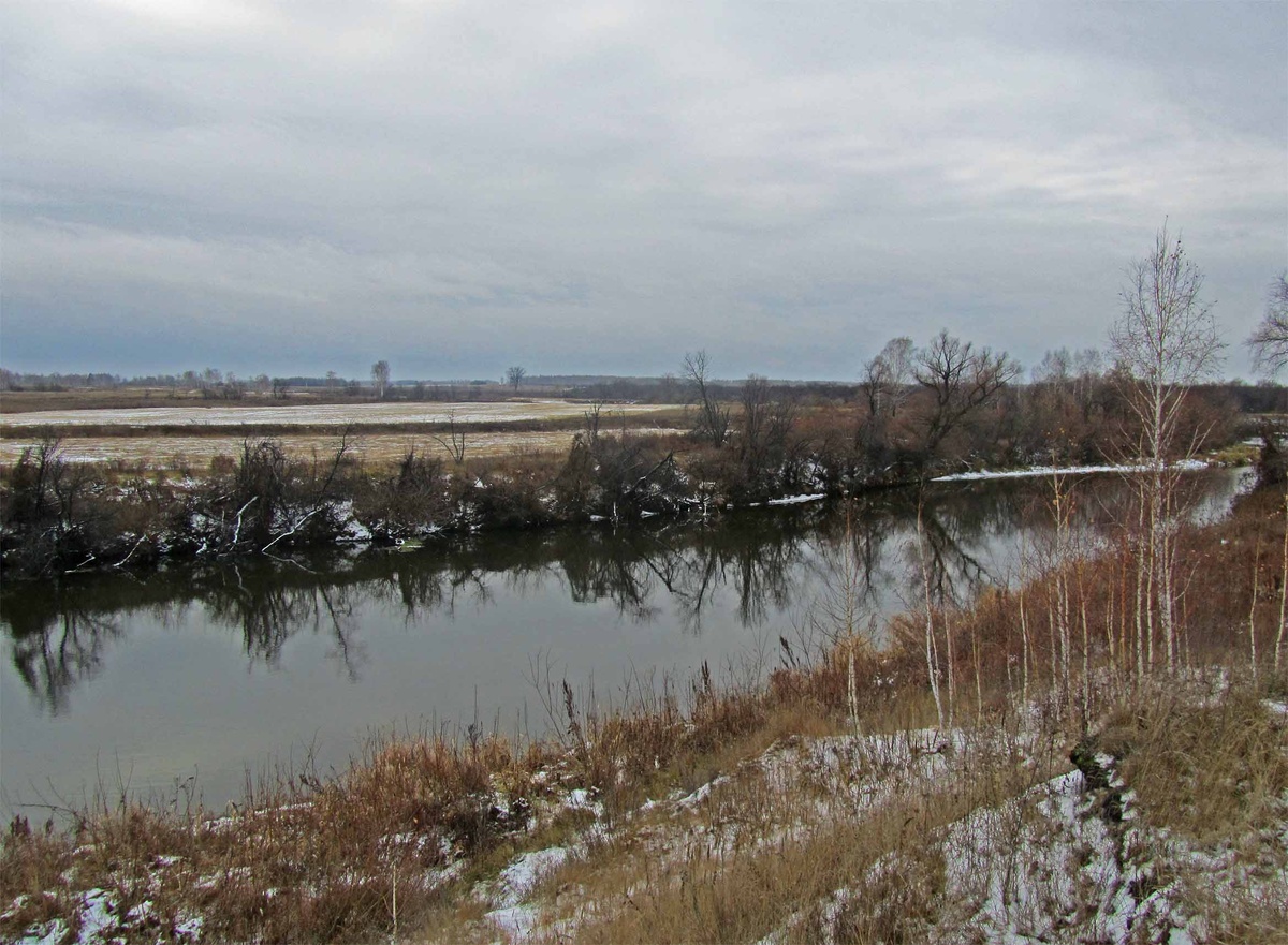 Лопатинское охотхозяйство. Курганская область. Источник: https://www.hunt.pripolar.ru