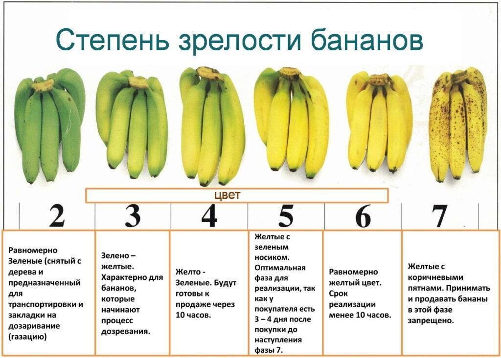 Фото: ТГ-канал «Контрольная закупка»
Фото: ТГ-канал «Контрольная закупка»
