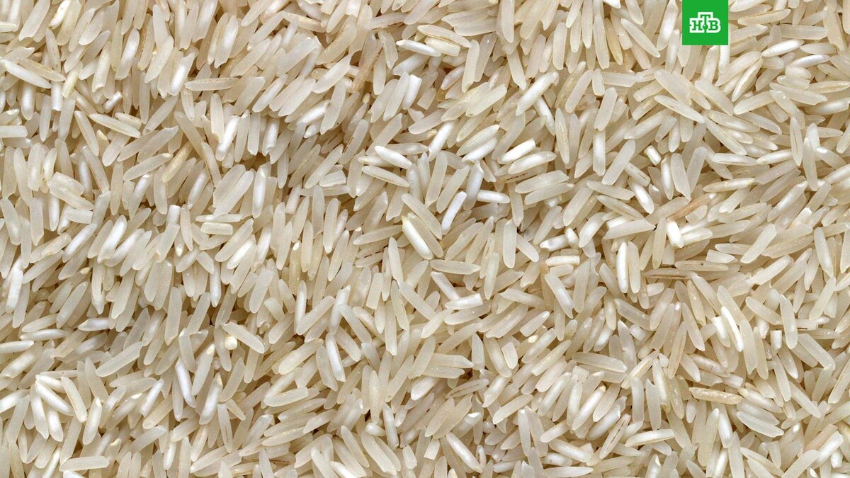    Фото: Pierre Bamin / unsplash.com