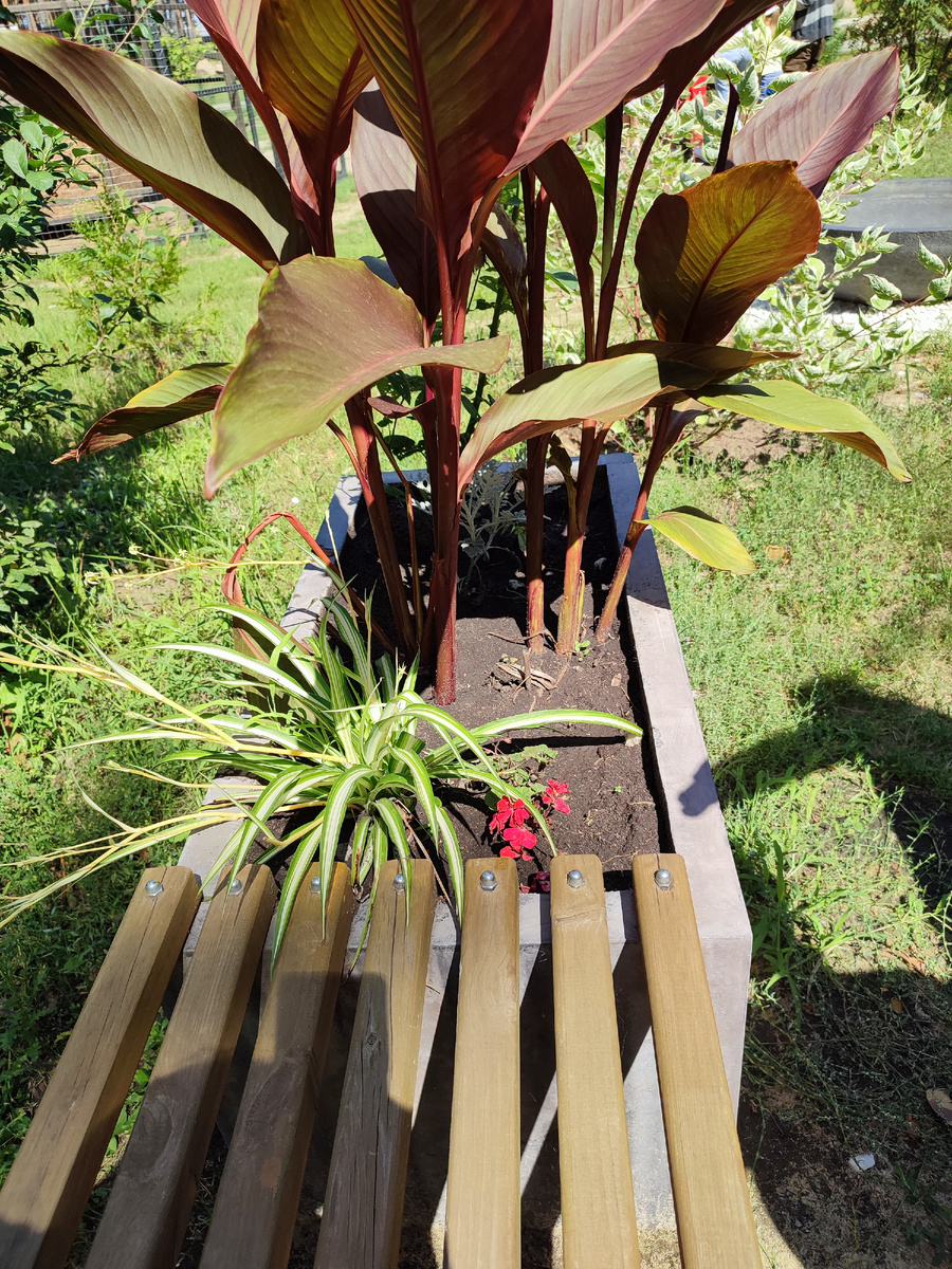 Фото автора. Понравилось как оформлена скамейка