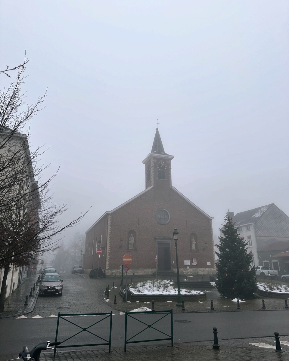 Бездомных я не фотографировала, не вижу смысла. Но вот как они умудряются выживать на улице в сырой Бельгии, где зимой в +1 холоднее, чем в Питере в -10- вопрос🤨