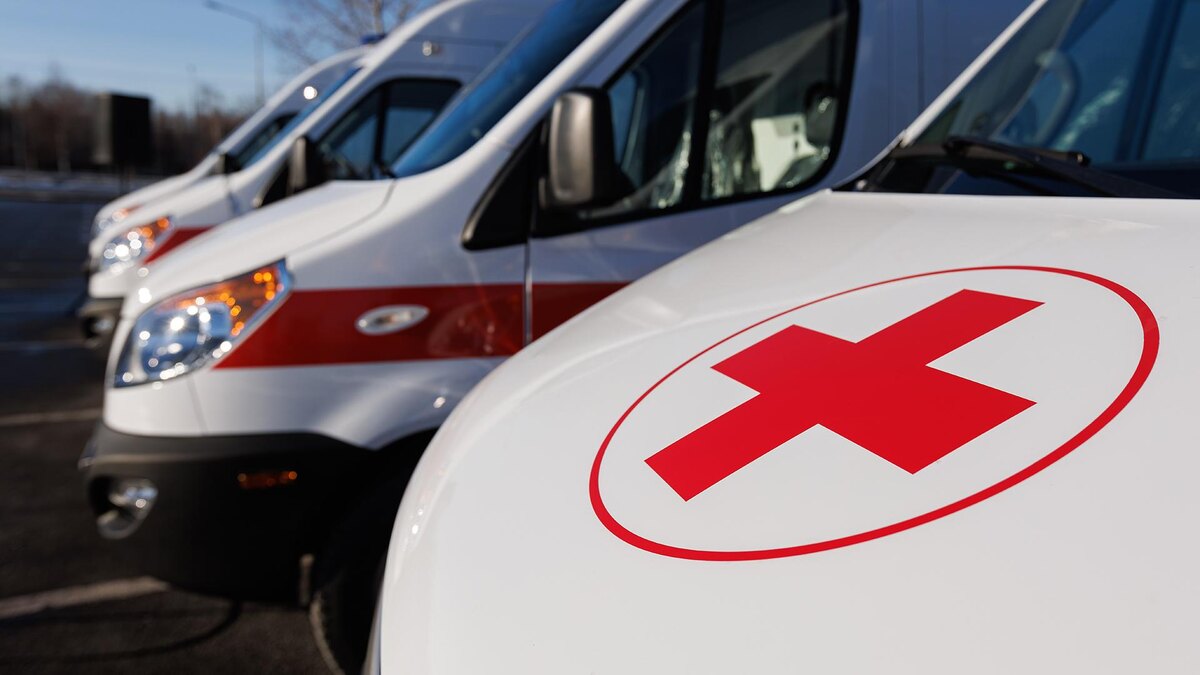    Фото: Sergey Elagin/globallookpress.com