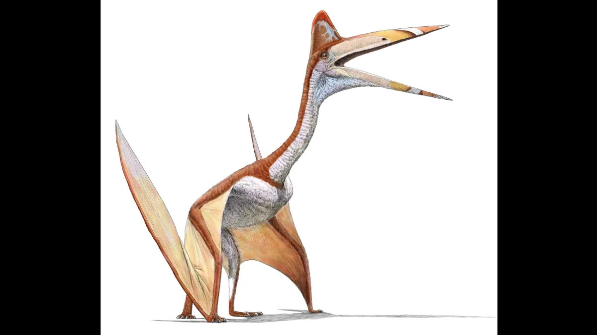 Это открытие стало первым свидетельством того, что в Северной Америке древние крокодилы opportunistically питались аждархидами. Изображение: Royal Tyrrell Museum/Julius T. Csotonyi