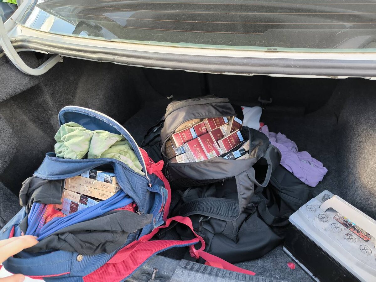 Фото: пресс-служба по г. Сочи Краснодарской таможни.  📷
