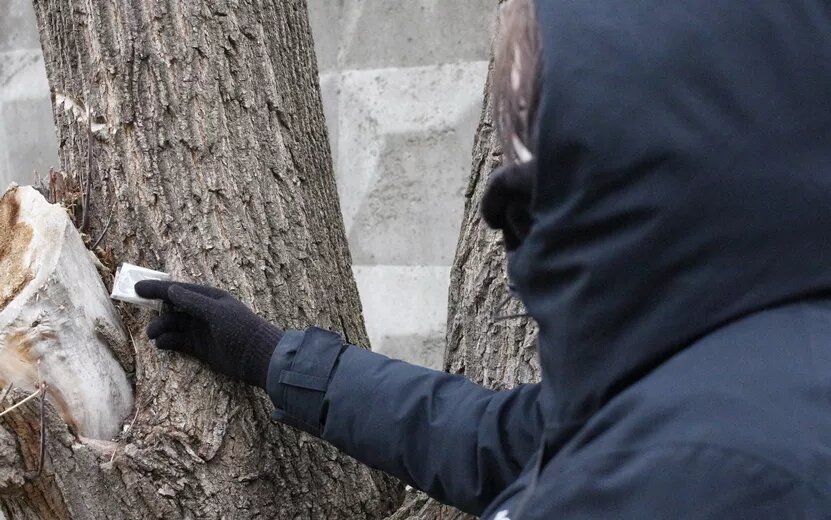    Почти 700 г мефедрона наркотиков изъяли у двух подростков в Ижевске