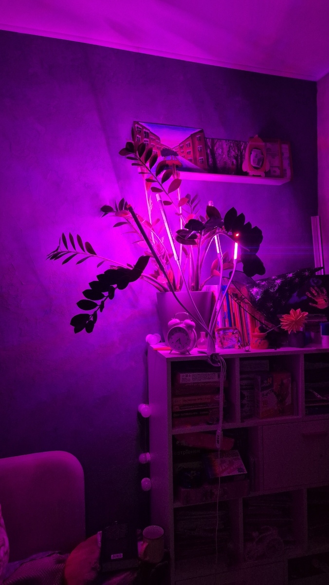 Нравится этот уголок)