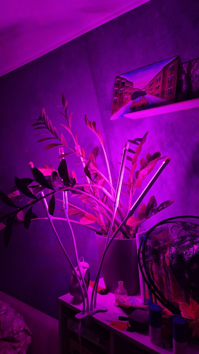 Хочу фоточки накопившиеся повыкладывать 