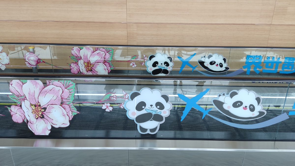 Траволаторы ускоряют если на них не встречаются пробки из тех, кто просто стоит