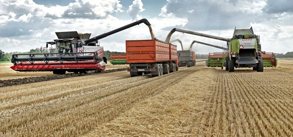    Зерновые — основная составляющая сельхозпроизводства района. Фото Архипа Ларченко Олег Размоскин
