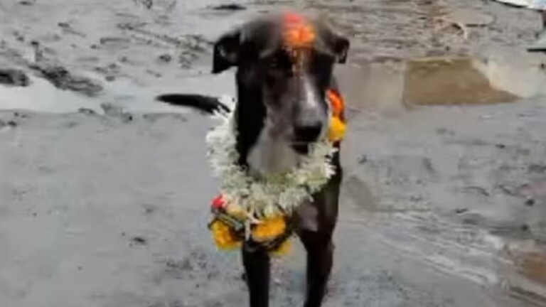 Вернувшийся домой счастливец