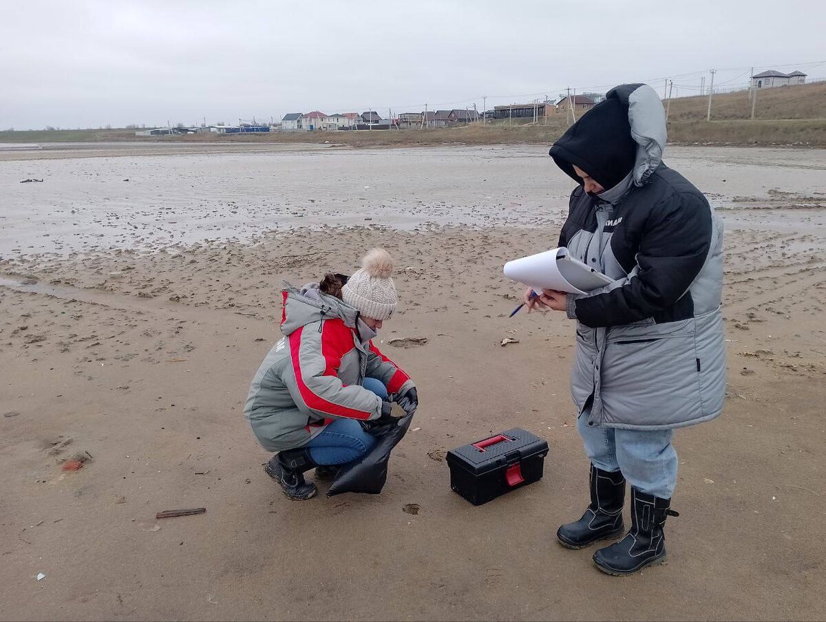    Фото: пресс-служба Министерства природных ресурсов Краснодарского края