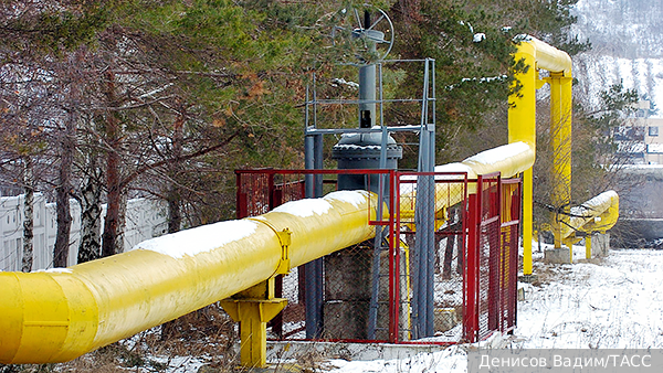     Фото: Денисов Вадим/ТАСС   
 Текст: Александра Юдина
