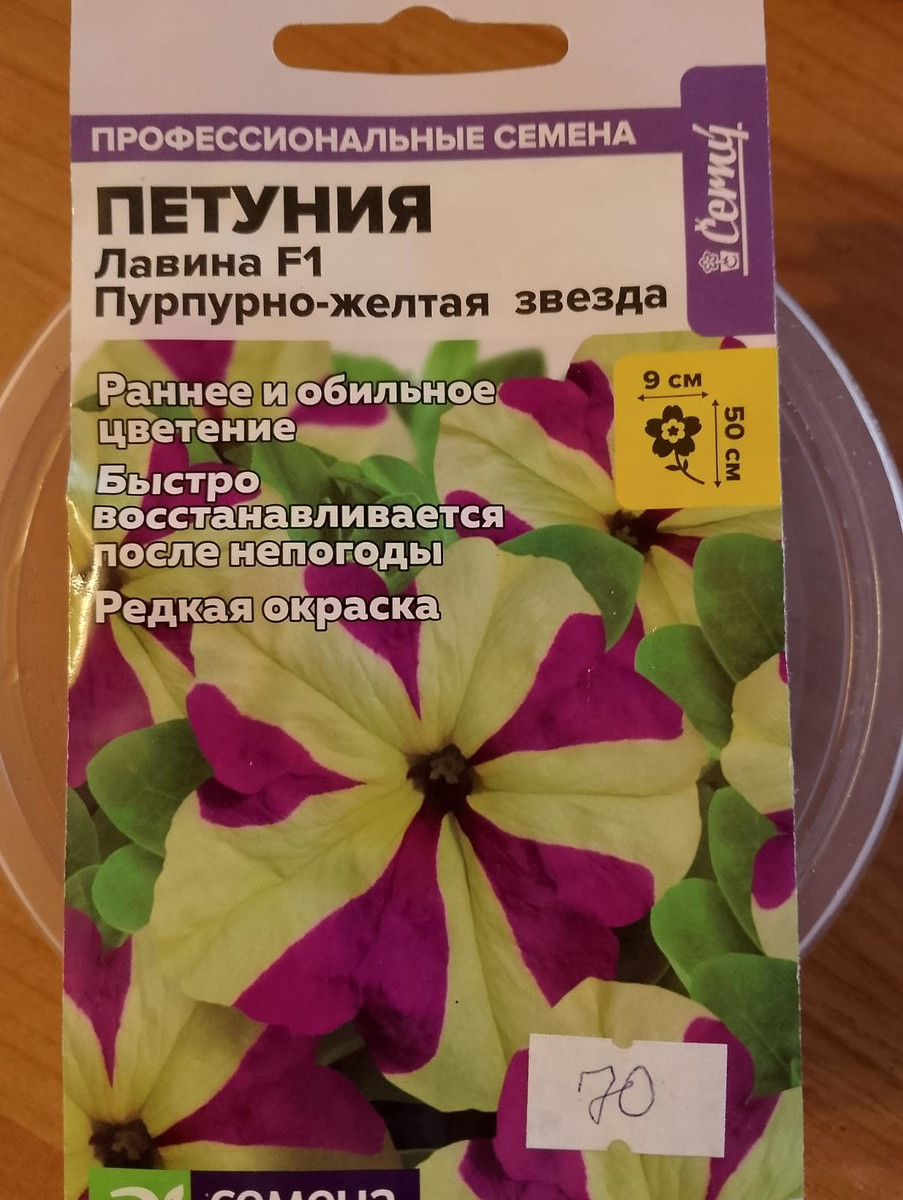 Петуния Лавина F1 Пурпурно-желтая звезда.